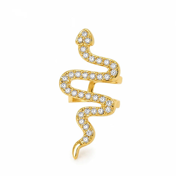 💎 Piercing d’oreille Naïa Serpent Éclat